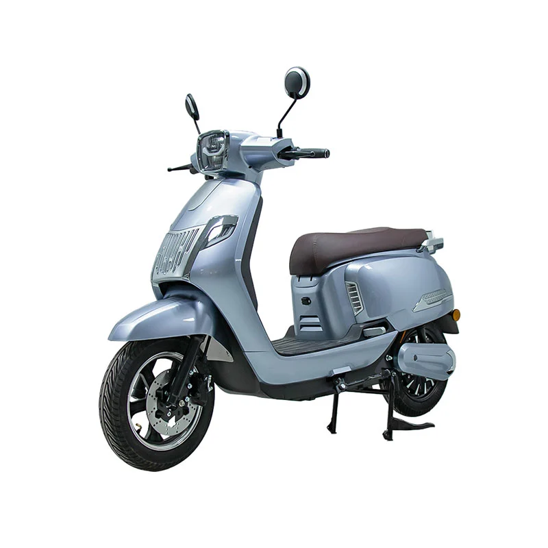 Moto elettrica per adulti da 10 pollici da 800 W