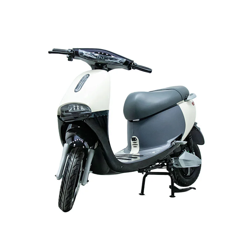 Moto elettrica con moto da 10 pollici 1000W